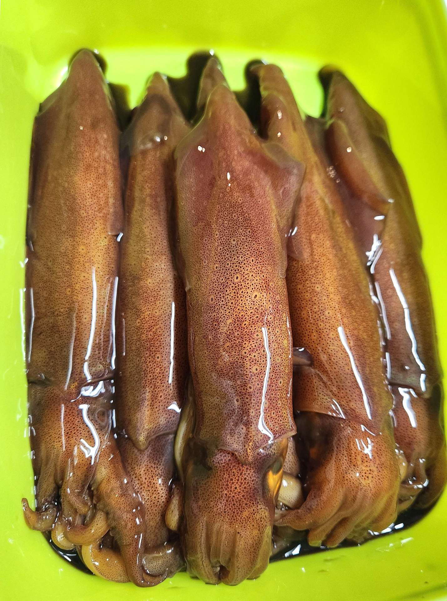 完成したケンサキイカの沖漬け