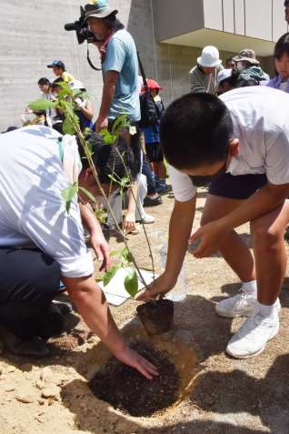 クチナシなどを植樹する小学生＝１４日、大和村思勝