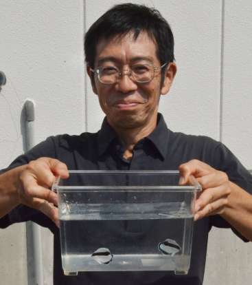 ブラックバンディットエンゼルの繁殖を担当した加藤裕昭課長補佐＝５日、南九州市頴娃の神畑養魚南九州養殖センター