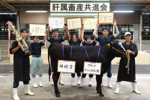 グランドチャンピオンに輝いた「あおい」号と鹿屋農業高校鹿児島黒牛研究部員＝１０日、鹿屋市の肝属中央家畜市場