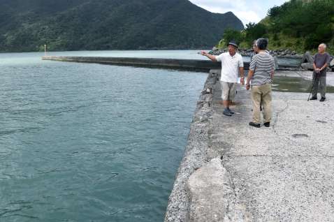 〈資料写真〉積み出し港を視察する辺野古土砂搬出反対全国連絡協議会メンバーら＝１１日、奄美市住用の戸玉集落