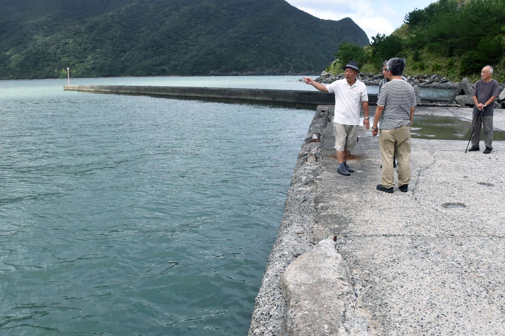 〈資料写真〉積み出し港を視察する辺野古土砂搬出反対全国連絡協議会メンバーら＝１１日、奄美市住用の戸玉集落