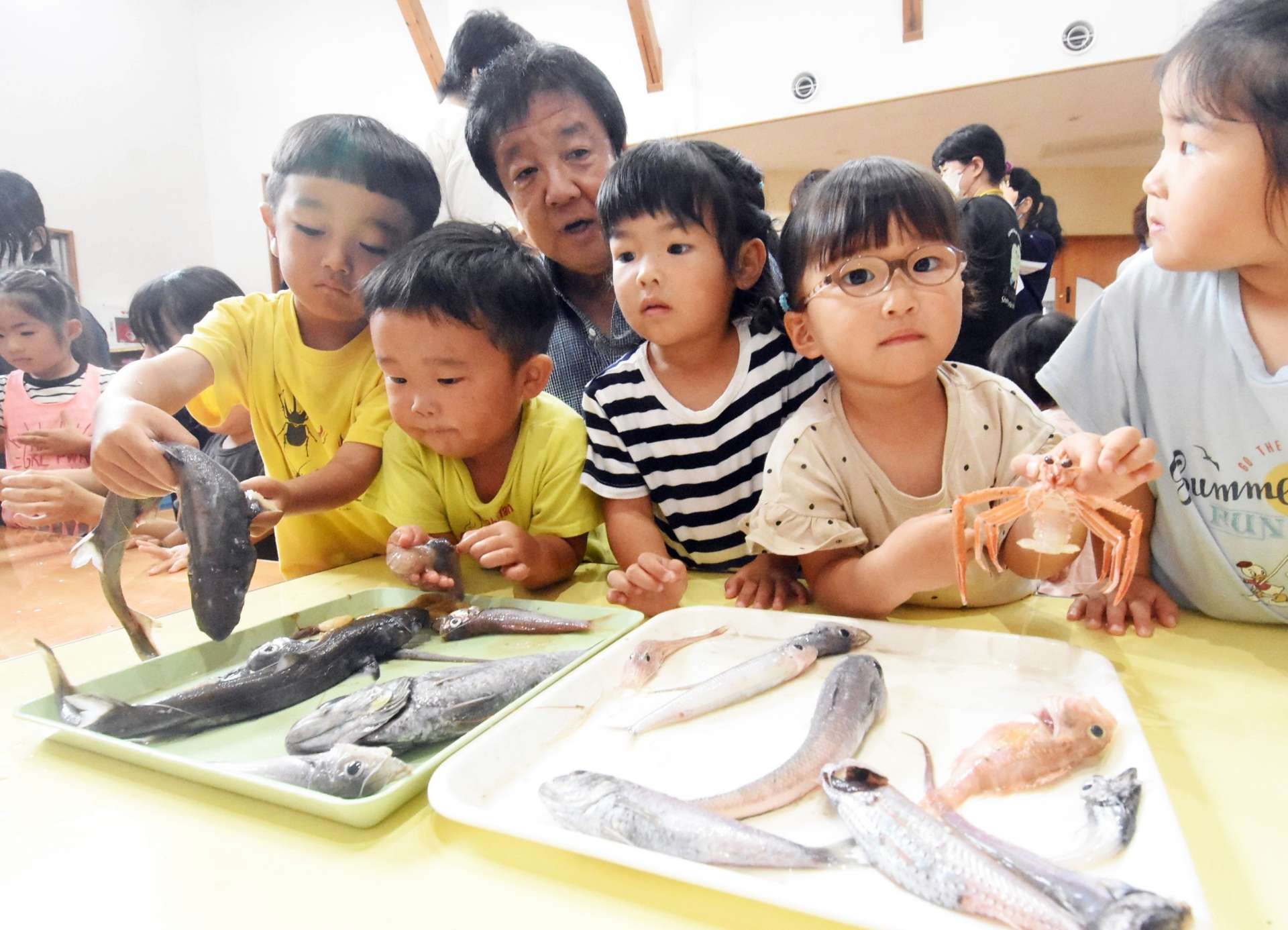 深海魚を説明する鹿児島大学の大富潤教授（中央奥）＝１０日、南さつま市の正信寺保育園