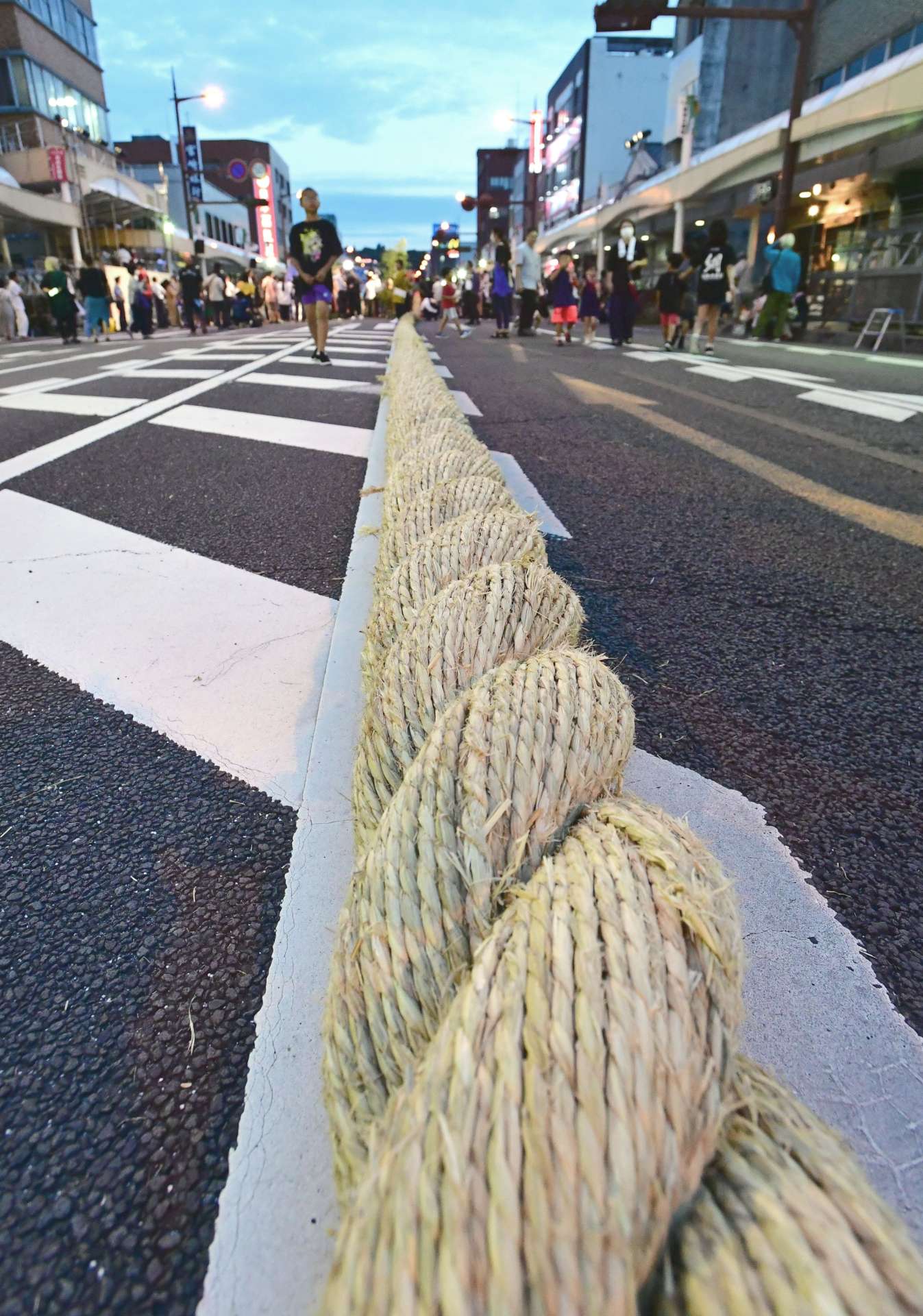 〈資料写真〉道路に横たわるように置かれた大綱。全長は３６５メートル、重さ７トン