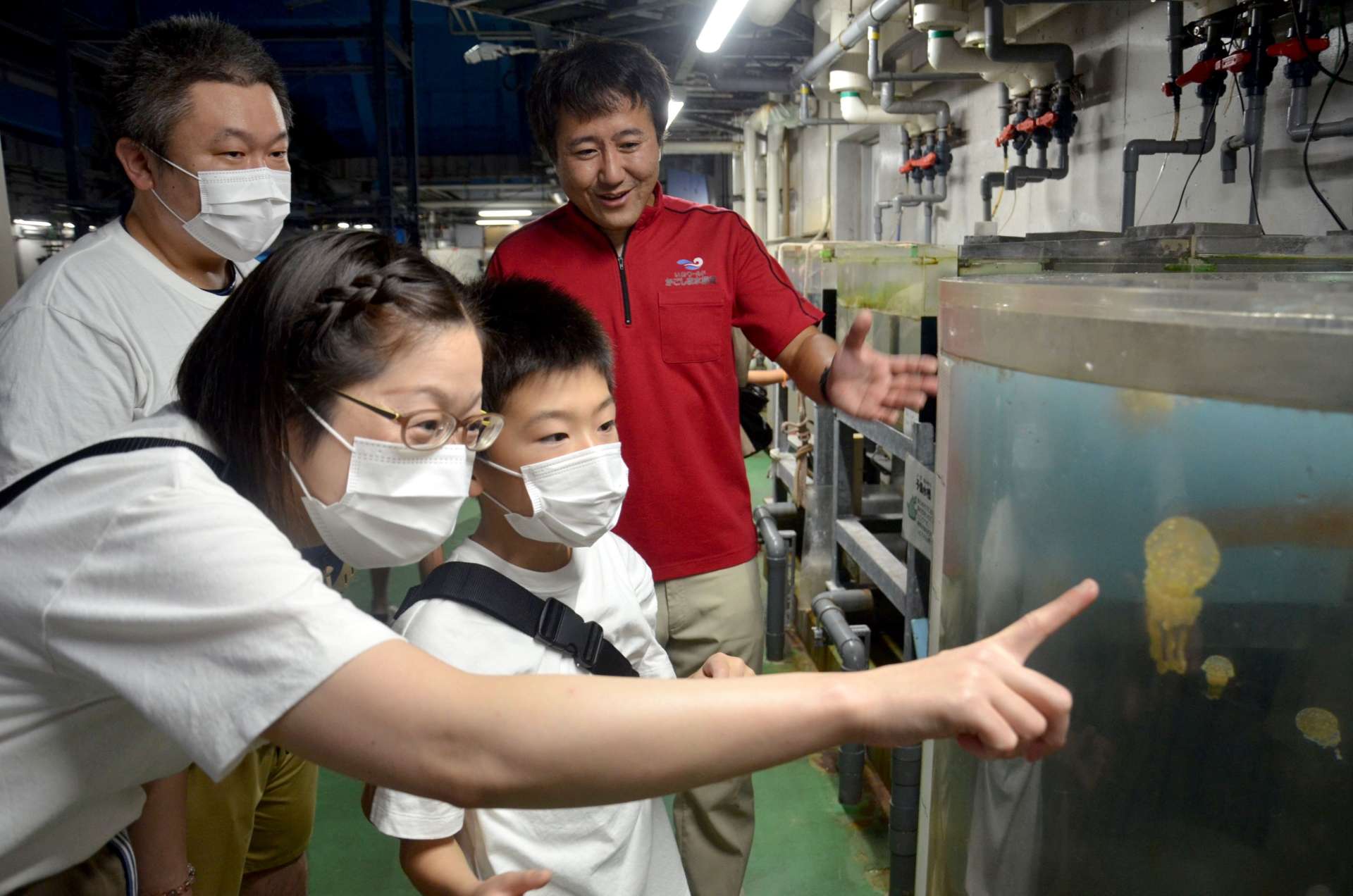 黒潮大水槽の裏側を見学する親子ら＝鹿児島市のかごしま水族館