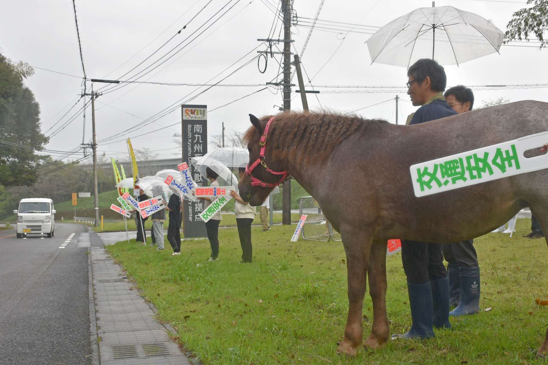 交通安全運動で街頭に立つ馬＝２０日、曽於市財部