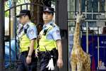 男に襲われ命を落とした男子児童が通っていた日本人学校周辺を警戒する警察官＝２０日、中国広東省深圳（共同）