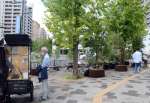 高見馬場交差点に登場した、植栽に囲まれた「ポケットパーク」。椅子やテーブルが並び、街歩きの合間に休憩できる＝２０日、鹿児島市山之口町