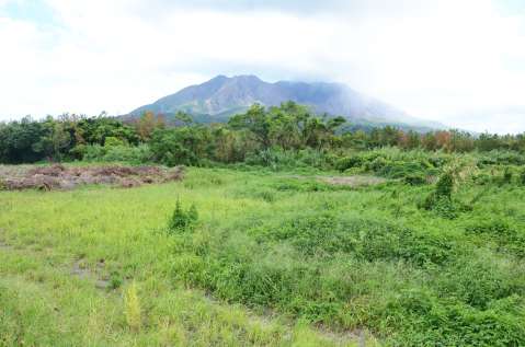 正面に桜島を望む「鶴崎灰捨場跡地」＝鹿児島市桜島横山町