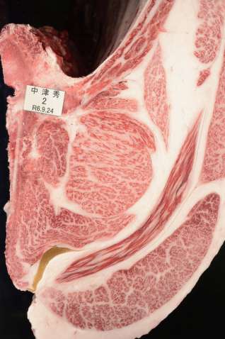 人工授精で生まれた「中津秀」の子の枝肉断面（県肉用牛改良研究所提供）