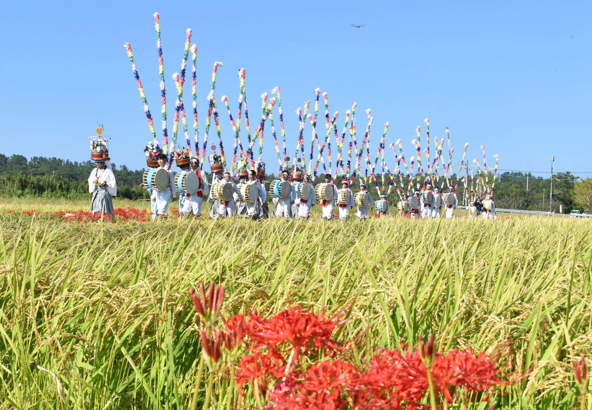 豊作を願い、田園地帯で太鼓やかねを響かせる踊り手たち＝いちき串木野市大里