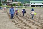 赤ソバの種まきをする住民ら＝枕崎市田布川町