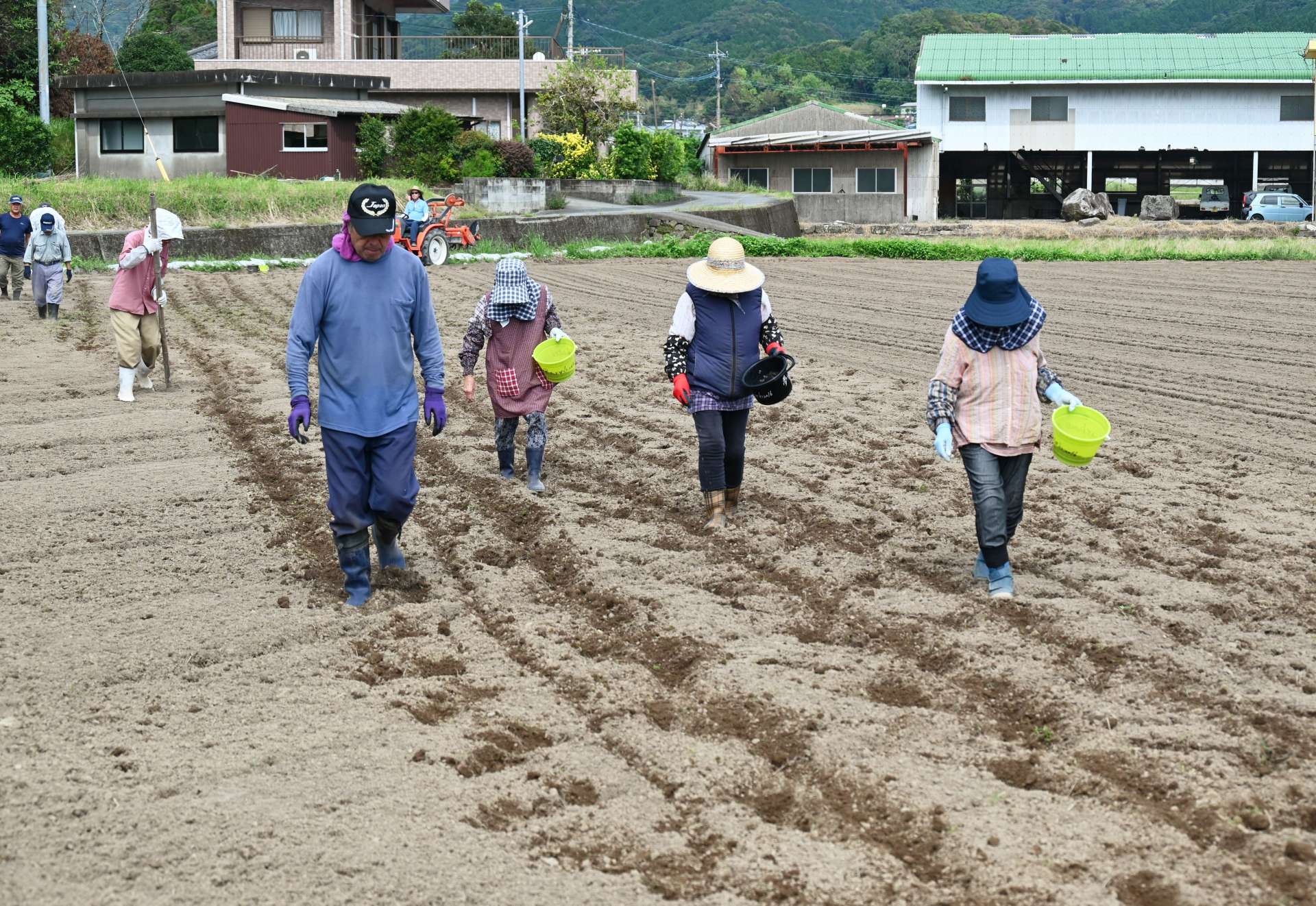 赤ソバの種まきをする住民ら＝枕崎市田布川町