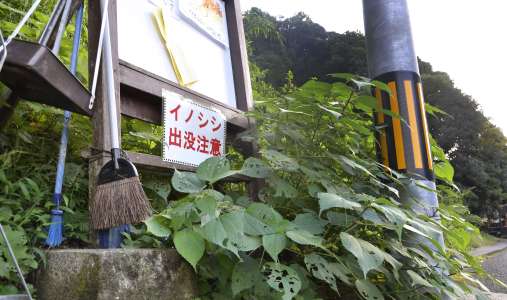 〈関連〉イノシシ出没に注意を促すため、現場付近に張られた看板＝１４日午後５時５分ごろ、鹿児島市原良７丁目