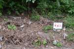 鹿児島市が設置した看板＝１５日、同市原良７丁目