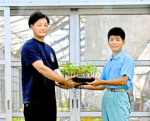 サツマイモのバイオ苗を手渡す生徒（右）＝指宿市の山川高校