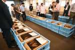 かつお節の入札前に品定めをする業者ら＝１８日、枕崎市立神本町