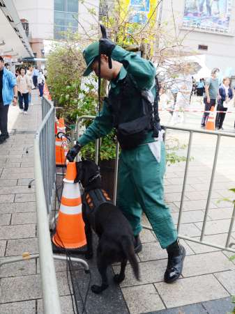 〈関連〉石破茂首相の演説に備え警戒する警視庁警備犬＝１９日、鹿児島市のＪＲ鹿児島中央駅東口駅前広場