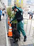 〈関連〉石破茂首相の演説に備え警戒する警視庁警備犬＝１９日、鹿児島市のＪＲ鹿児島中央駅東口駅前広場