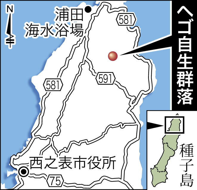 ヘゴ自生群落地を地図で見る