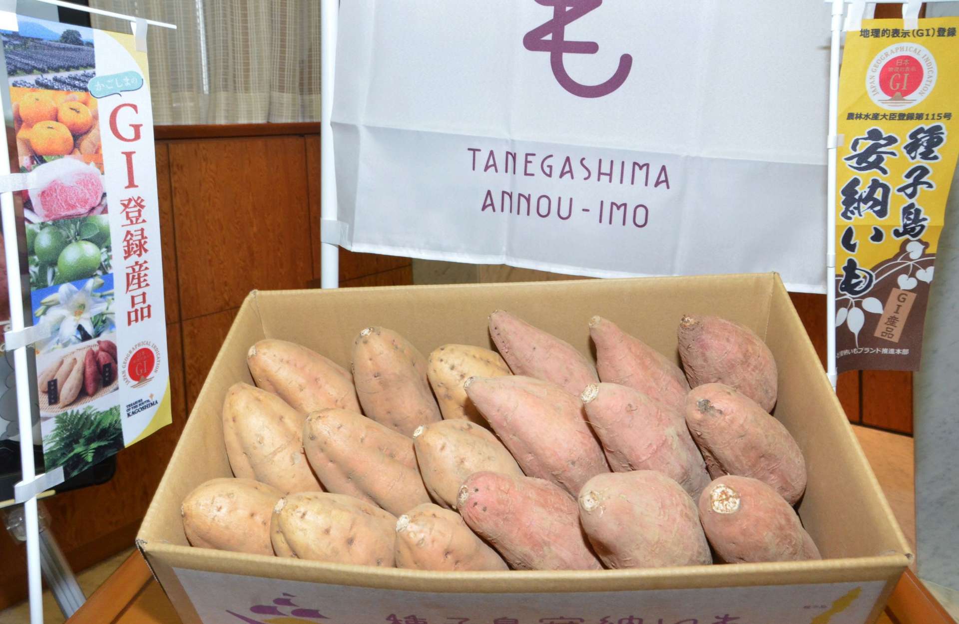 ９月から出荷開始した地理的表示保護登録産品「種子島安納いも」＝２９日、県庁