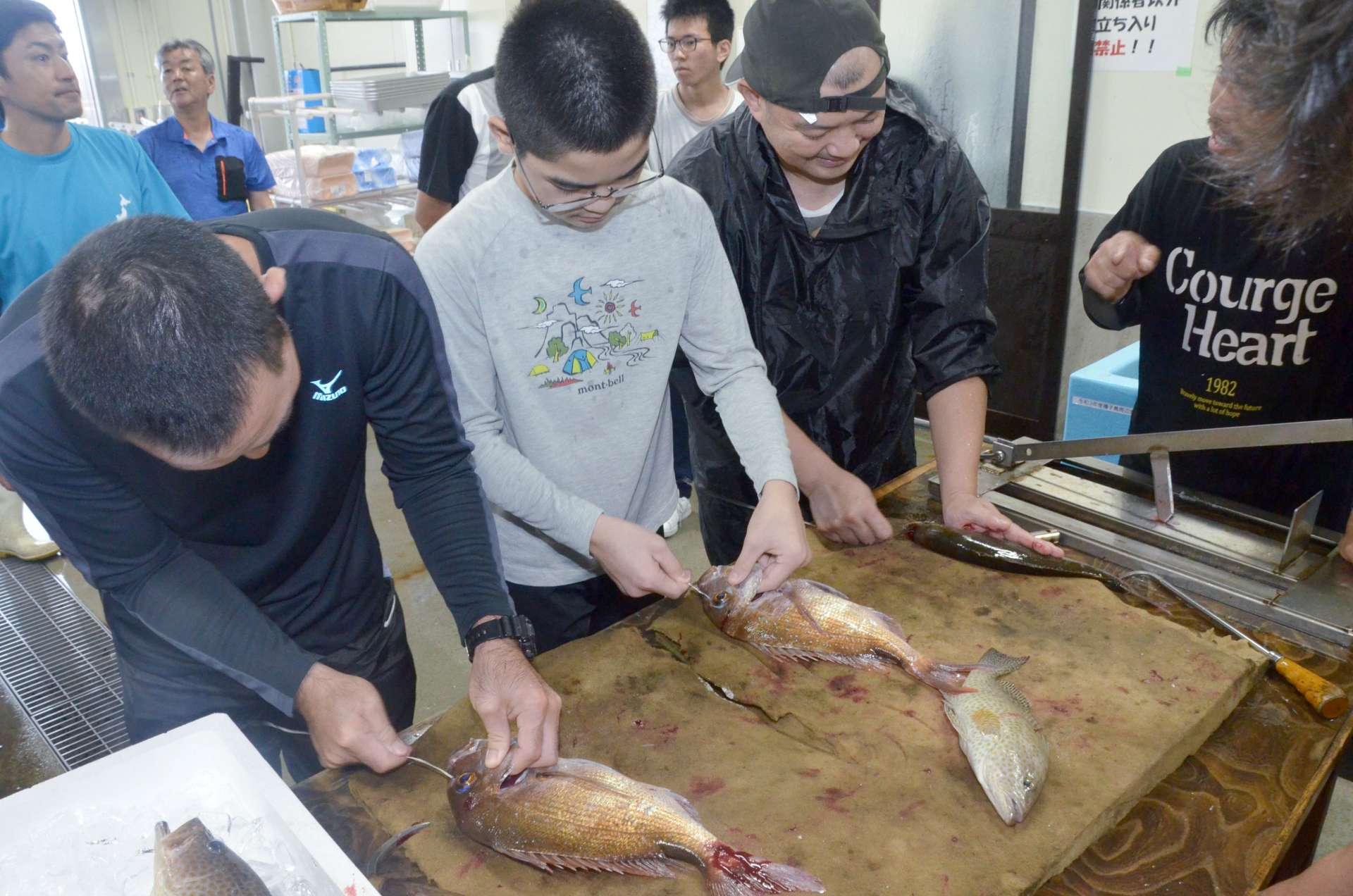 現役漁師に教わりながら魚の神経締めに挑戦する参加者＝２日、鹿児島市の七ツ島海宝館