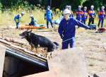 訓練で警察犬を使って要救助者を捜索する参加者＝さつま町田原