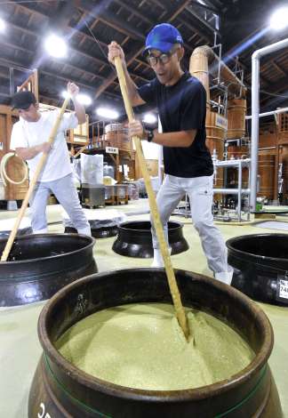 主原料を入れ発酵させた２次もろみをかき混ぜる杜氏ら＝１０月３１日、南さつま市の杜氏の里笠沙