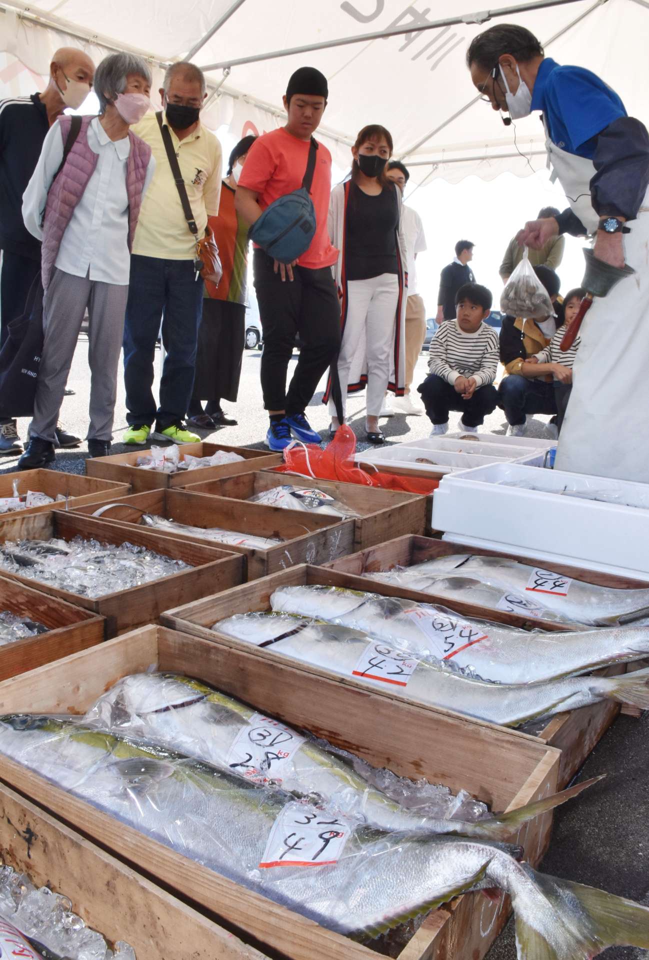 魚の競りを体験する買い物客ら＝薩摩川内市港町