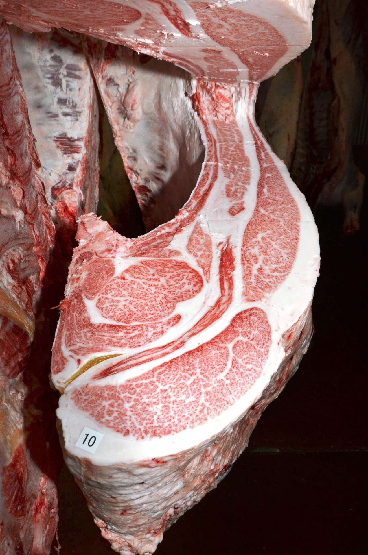 グランドチャンピオンに選ばれた鶴喰康行さんの枝肉＝１１日、南九州市のＪＡ食肉かごしま南薩工場