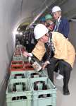 焼酎を坑道内の貯蔵ケースに入れる蔵元の代表者ら＝１２日午前、鹿児島市の桜島有村観測坑道