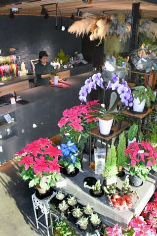 色鮮やかな切り花や鉢植えが並ぶ生花店「花源」＝指宿市十町