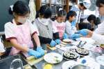 キンパ作りを楽しむ児童＝出水市の蕨島小学校