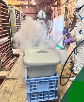 鳥インフルエンザ発生農場でガスを用いた鶏の殺処分に当たる県職員ら＝２０日、出水市高尾野（鹿児島県提供）