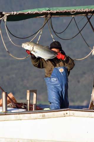 釣り上げたシマアジを運ぶ漁師＝２５日、鹿児島県屋久島沖