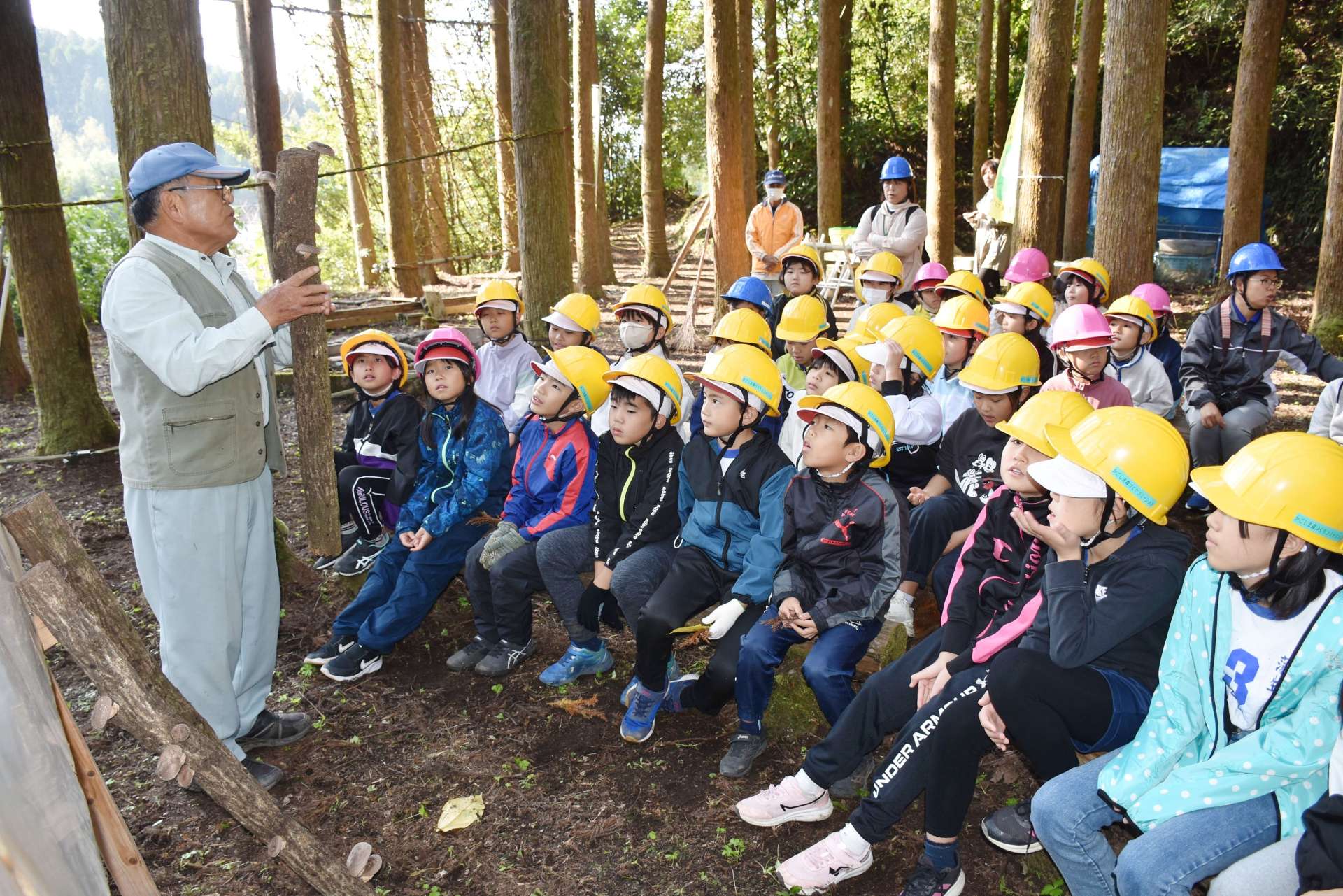 シイタケの採り方を学ぶ蒲生小学校の児童ら＝姶良市蒲生町上久徳