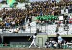 大声援を受け、白熱する樟南と鹿実の特別試合＝平和リース球場