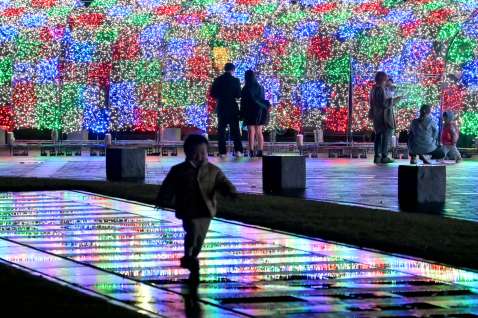 〈関連〉光あふれる会場を楽しむ来場者。家族連れをはじめ、走り回る子どもやカップルの姿も＝２９日、鹿児島市の天文館公園
