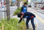 植え込みのごみを拾う参加者＝３０日、鹿児島市泉町