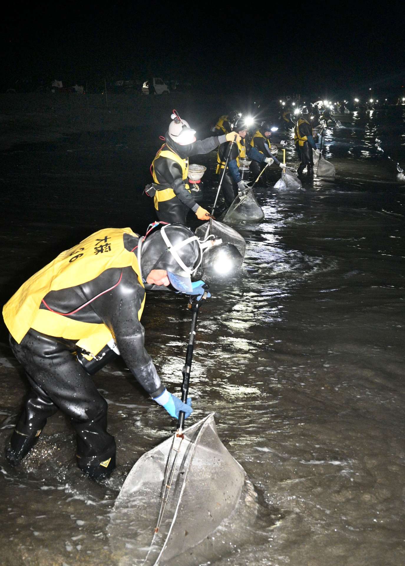 〈別カット〉海面を照らし、シラスウナギを網ですくう採捕者＝１日午後６時４１分、大崎町の菱田川河口