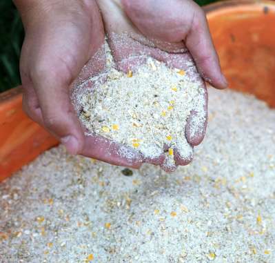 国産の穀物を原料とする濃厚飼料＝鹿屋市の鹿屋農業高校