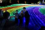 「虹」を表現した芝生広場のイルミネーション＝１１月３０日、指宿市のフラワーパークかごしま