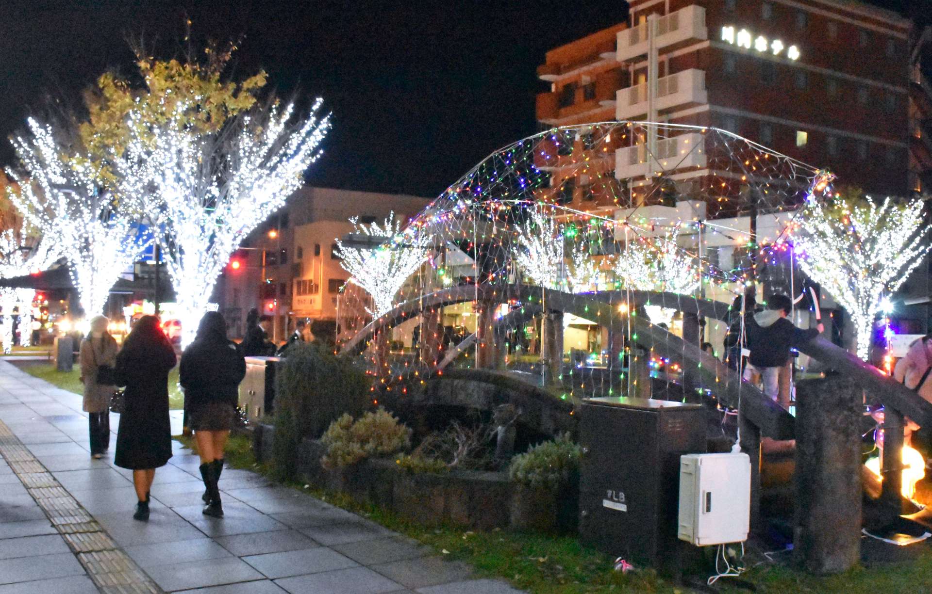 イルミネーションを楽しむ人々＝薩摩川内市の昭和通り