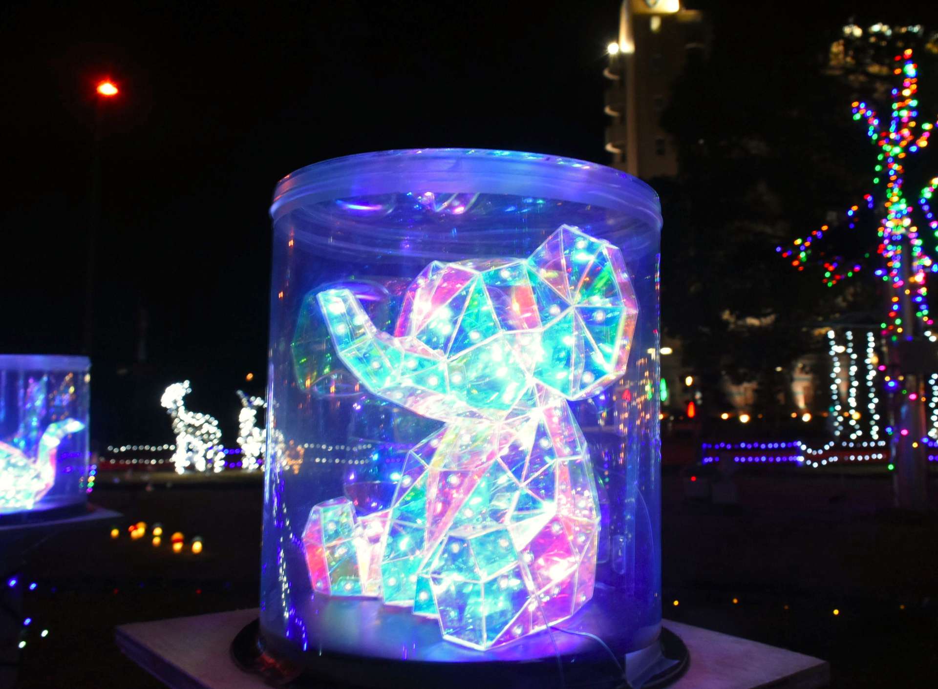 ゾウをイメージした電飾＝３日、出水市昭和町