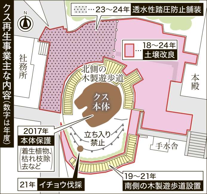 〈関連〉大クス再生へ２０１７年度からの事業が図面に落とすと丸わかり
