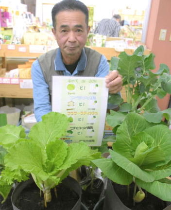 大根にキャベツや白菜を接ぎ木したものを育てる上拂明弘さん＝指宿市の道の駅いぶすき彩花菜館