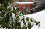 雪化粧した紫尾山頂付近＝１９日、出水市武本（さつま町の許可を得て撮影）