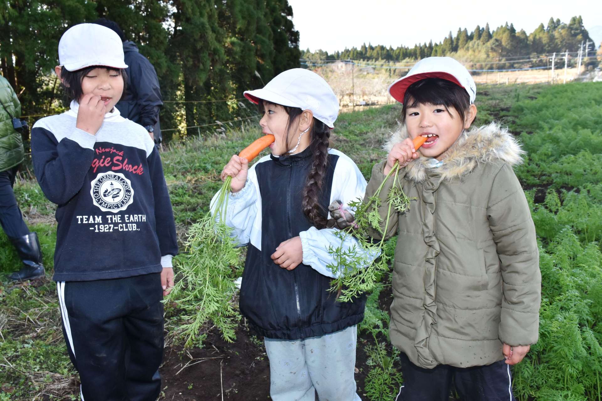 有機栽培で育てたニンジンを丸かじりする子どもたち＝湧水町木場