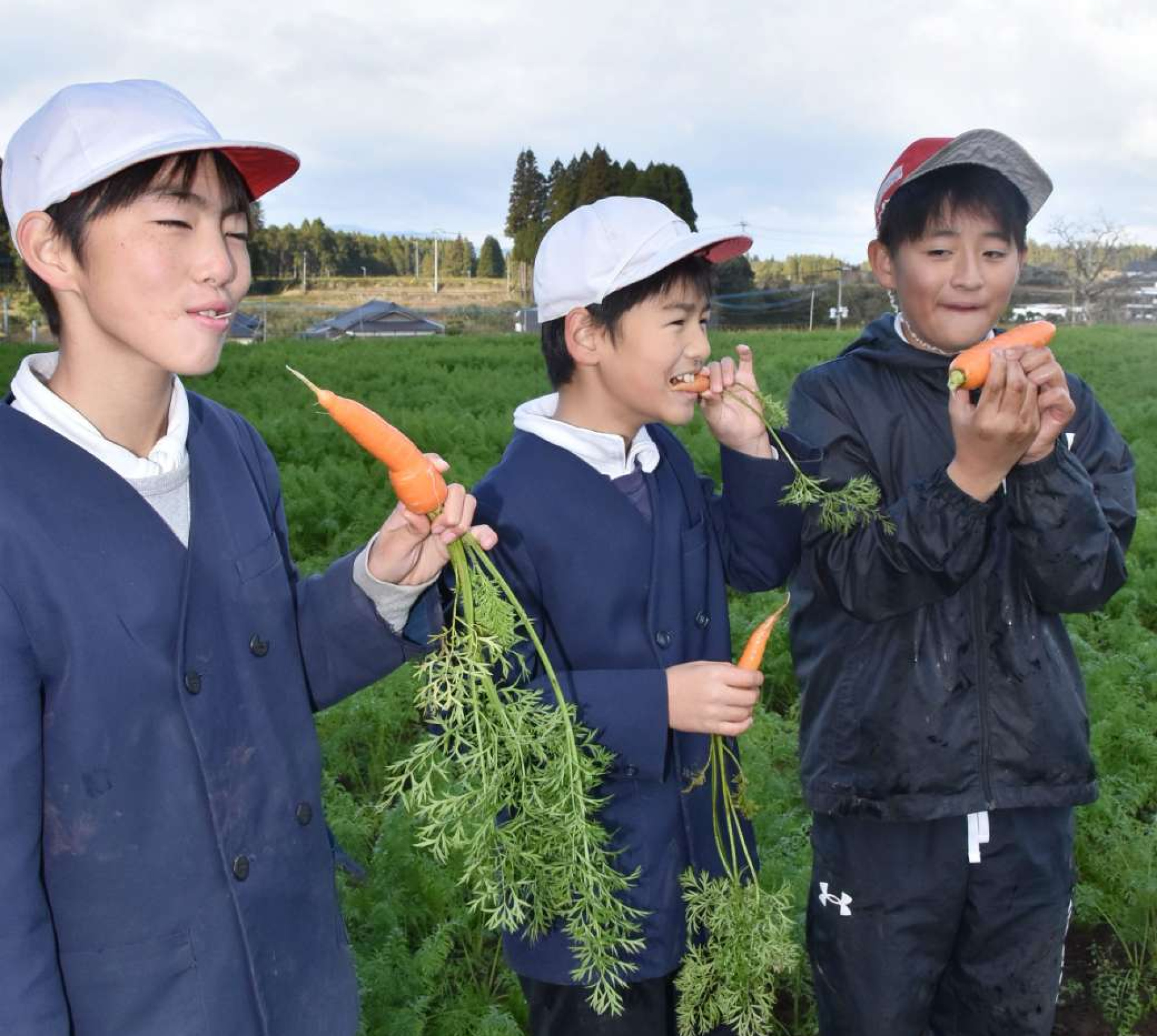 有機栽培で育てたニンジンを丸かじりする子どもたち＝湧水町木場