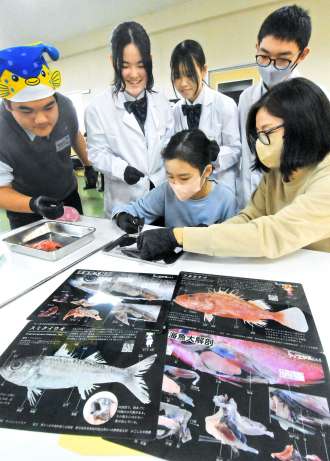 鳳凰高校生が見守る中、深海魚下敷きを見ながら解剖する小学生＝南さつま市の同校